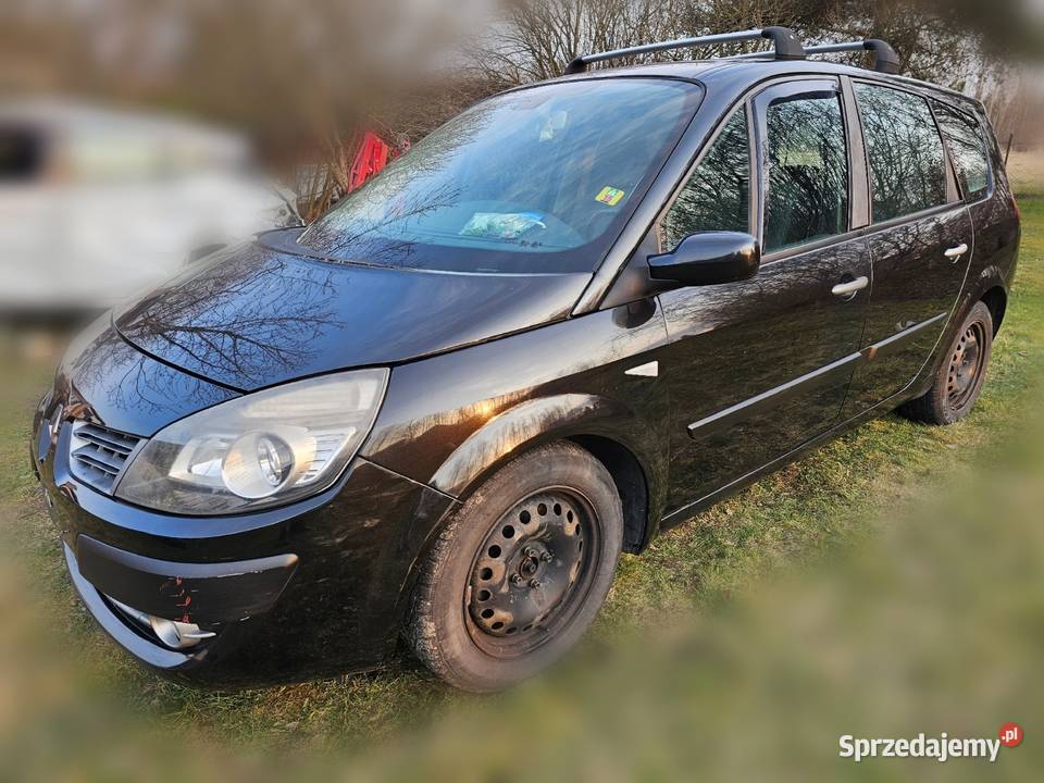 Renault Scenic 2 2009 15 dCi 106