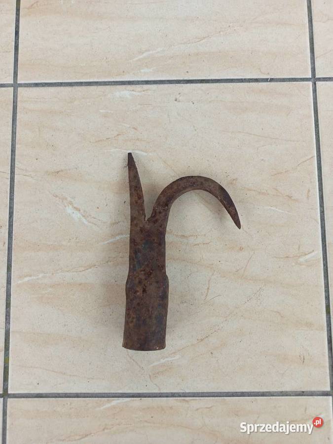 Bosak kuty łódzkie