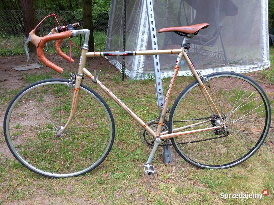 stary zabytkowy szosowy rower vintage Mountain Bełchatów sprzedam