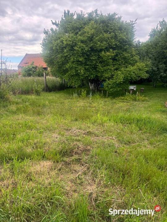 Sprzedam dom Prądy