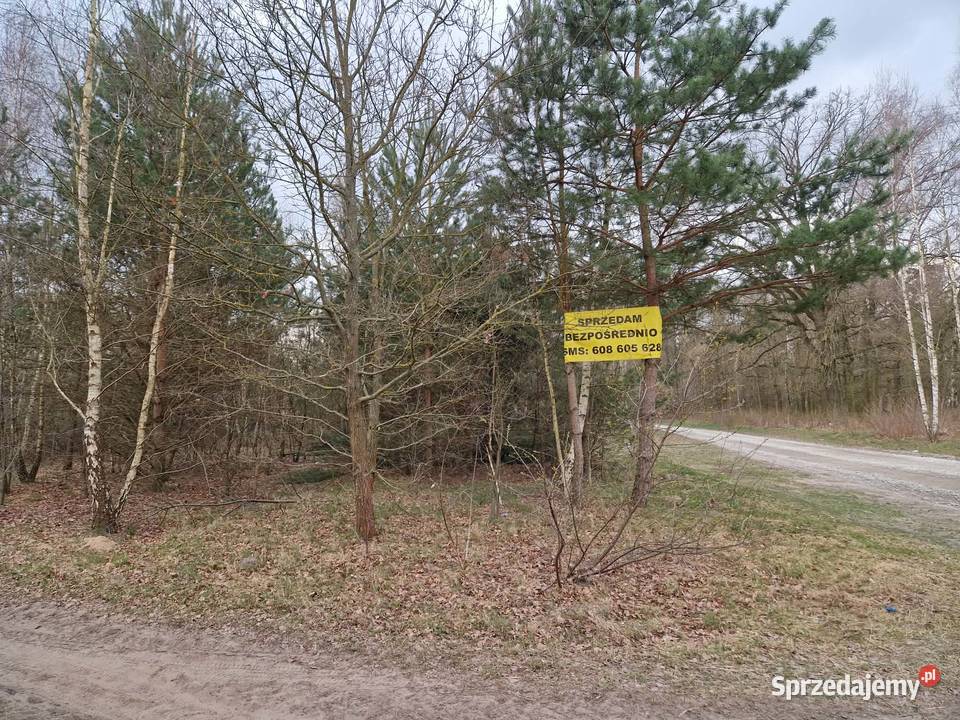 Działka pod zabudowę gmina Aleksandrów Łódzki Zgniłe Błoto