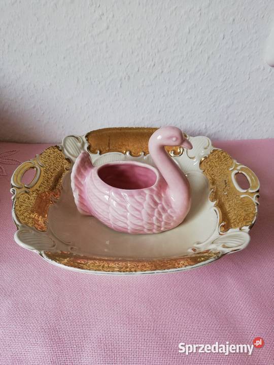 Łabędż różowy osłonka