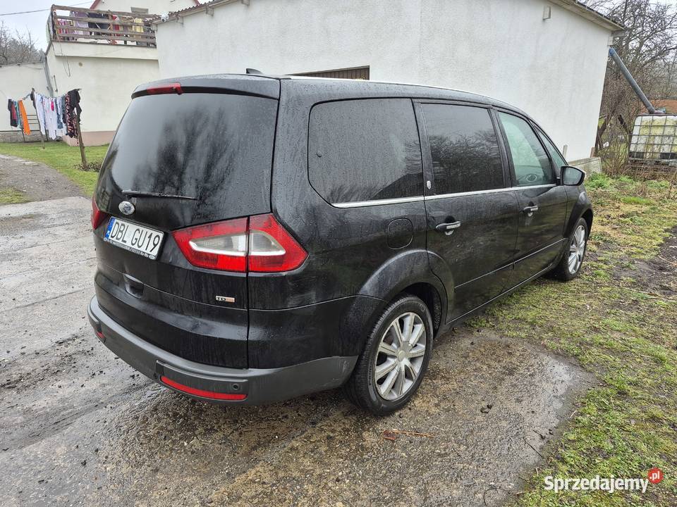 Ford Galaxy Borówki