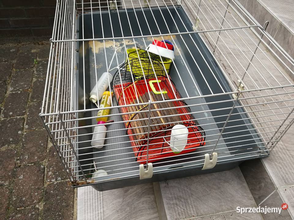 Klatka przeznaczona królika swinki morskiej Szczecin