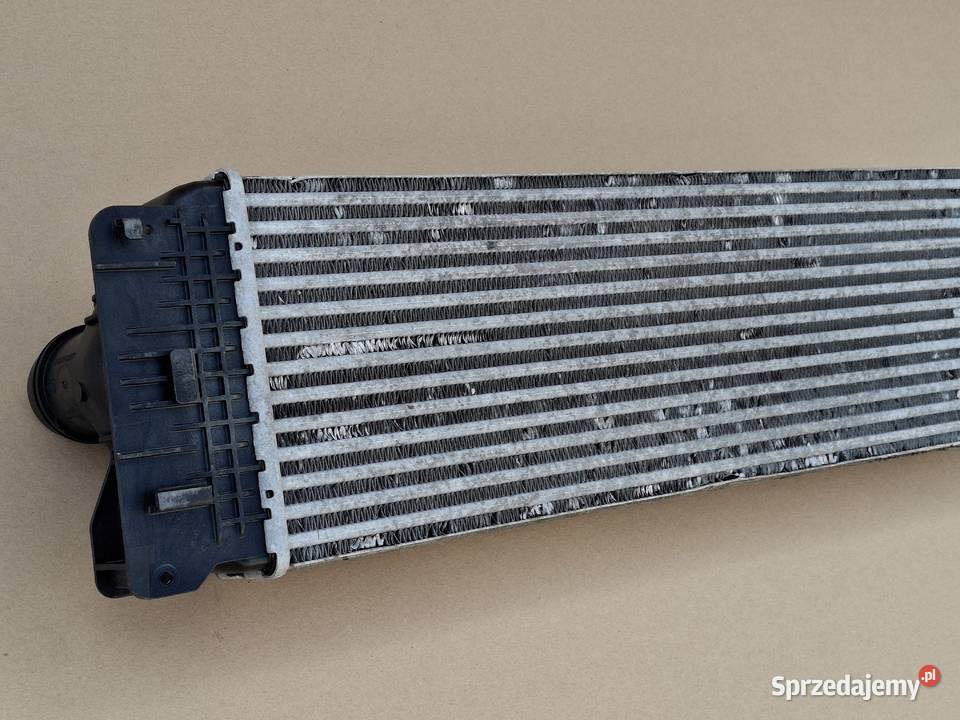 MERCEDES SPRINTER W906 CRAFTER INTERCOOLER Bieleń sprzedam