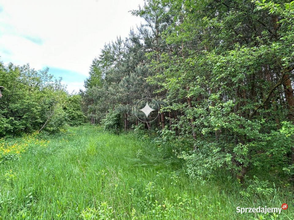 Działka Siedliskowa w Ruskowie 2791m2 37m Rusków sprzedam