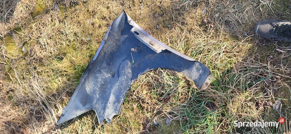 Błotnik Lewy Prawy Citroen C 3 ładny stan Pozostałe Żabno