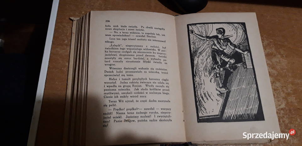 KRYTYCZNA NOC W KERVIZELU DELSUC1932 skauting Antykwariat Iwno