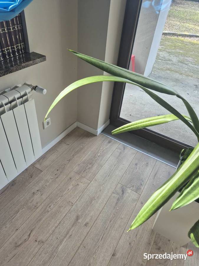 Wykończenia wnętrz i remonty mieszkań Olsztyn Szczytno