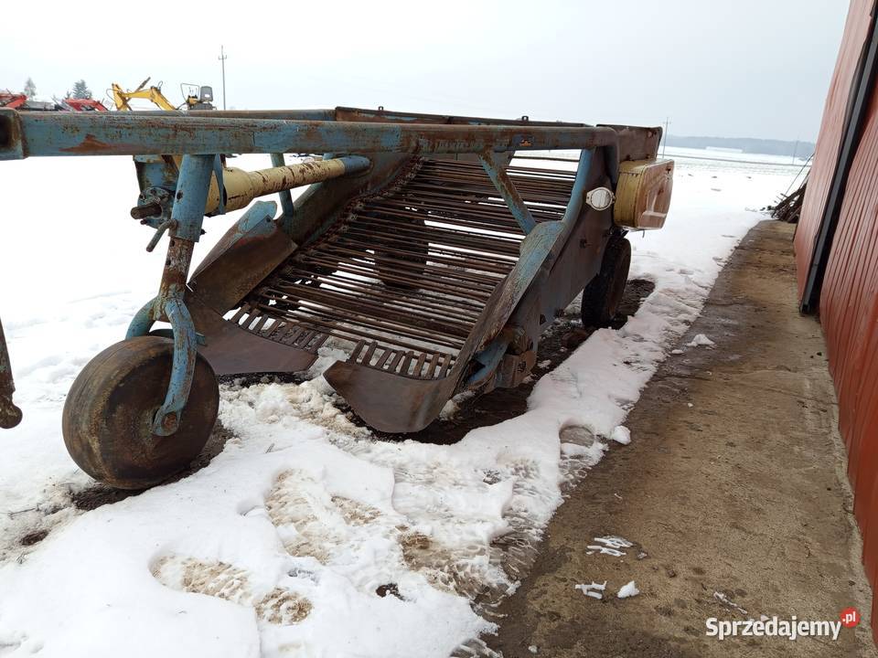 Kopaczka elewatorowa nowe ogniwka do ziemniaków Szynkielów