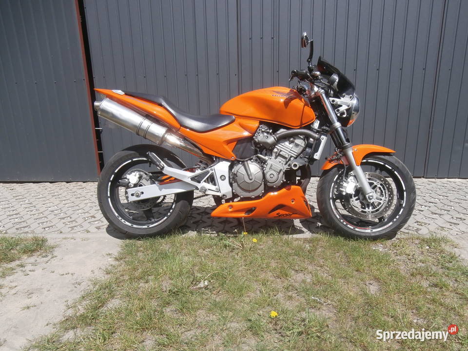 honda cb 600 hornet Annopol