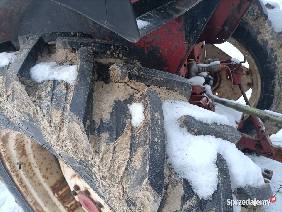 International 685 XL 67 koni Krzczonów Trzeci