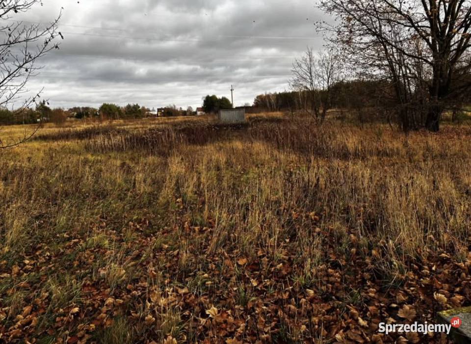 Na sprzedaż działka 1600 m z warunkami zabudowy 203zł/m2 Warszówka
