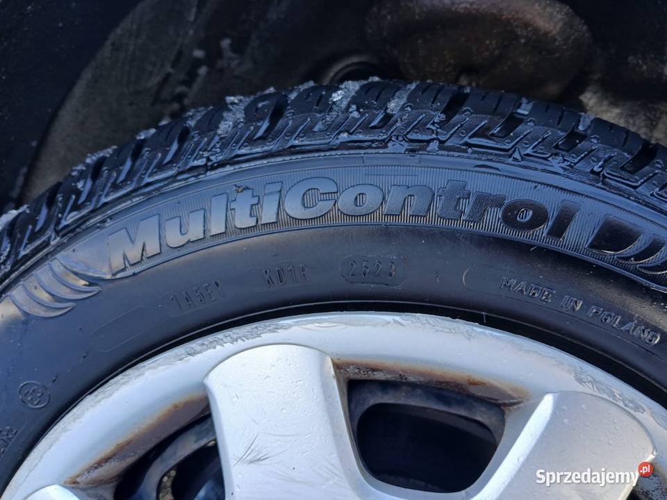 Sprzedam lupo wielkopolskie