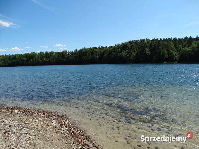 Działka na Kaszubach w bliskim otoczeniu lasów i Bytów