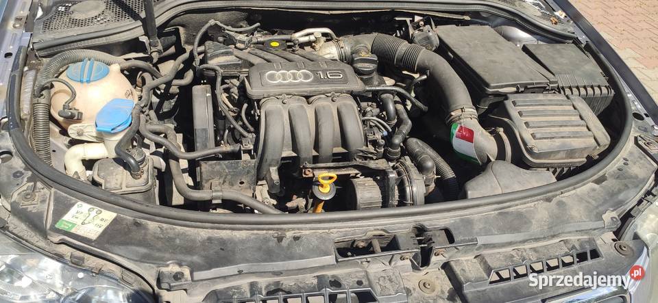 Audi A3 8P 16 MPI 102 Jasne wnętrze śląskie Dąbrowa Górnicza