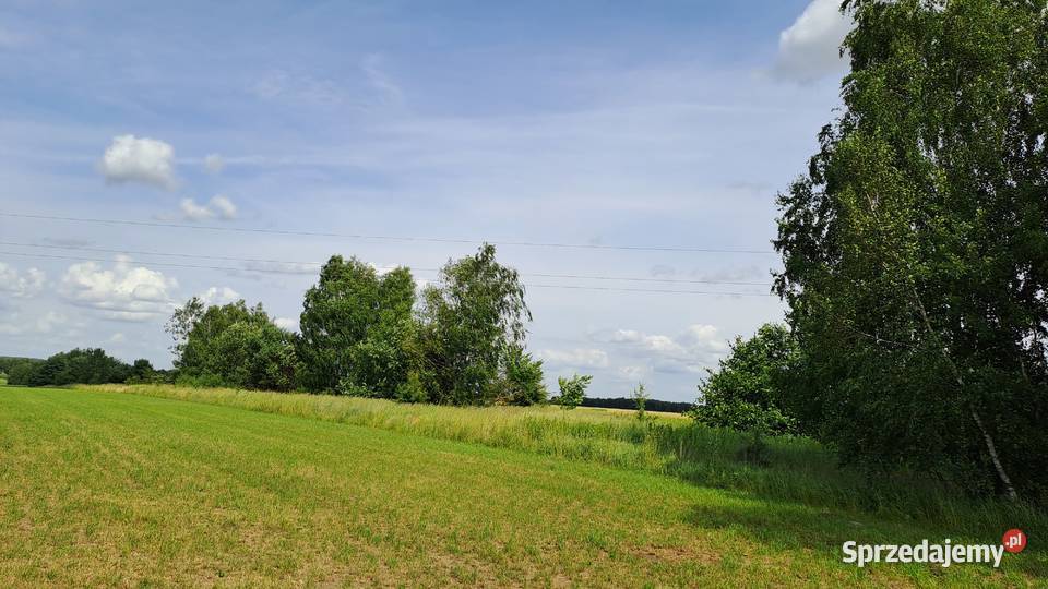 Działka rolna inwestycyjna Przytoczno