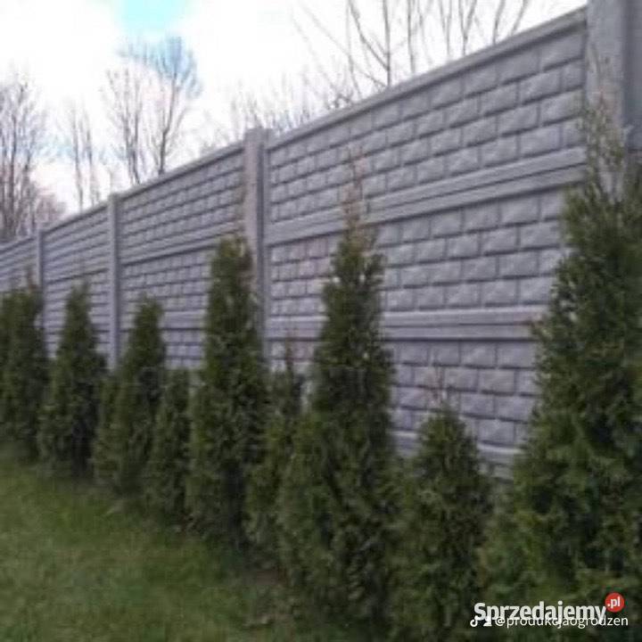 Ogrodzenia betonowe Kłodzko usługi budowlane