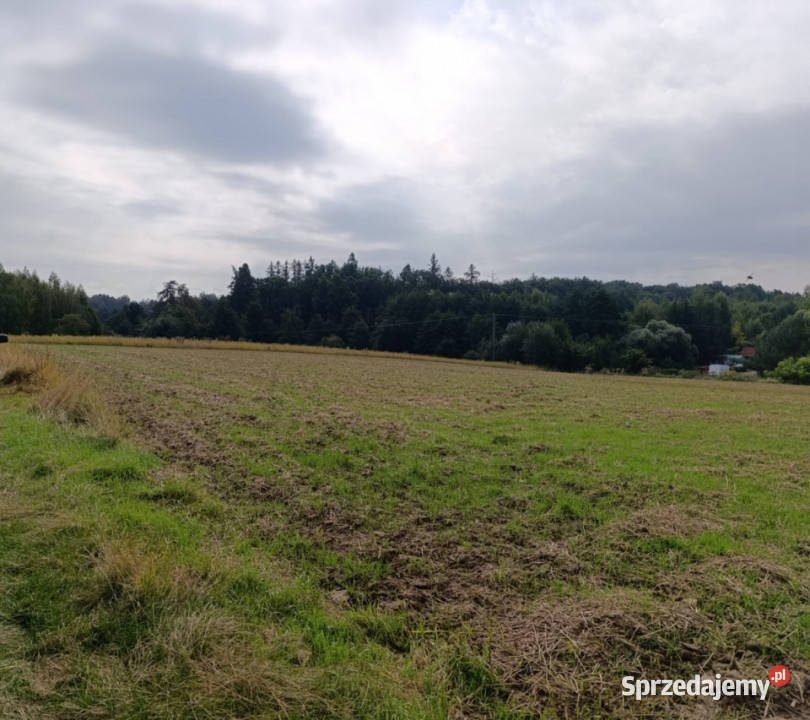Działka zagrodowa 30ar Janczowice gm Łagiewniki siedliskowa
