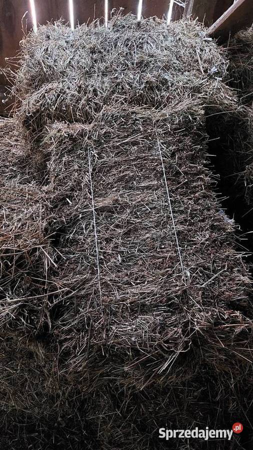 siano kostka Karmy i pasze Dydnia sprzedam