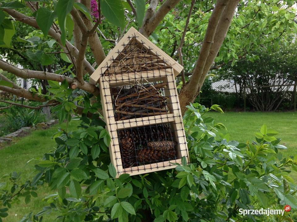 Domek budka owadów 35x21x9 Sławno sprzedam