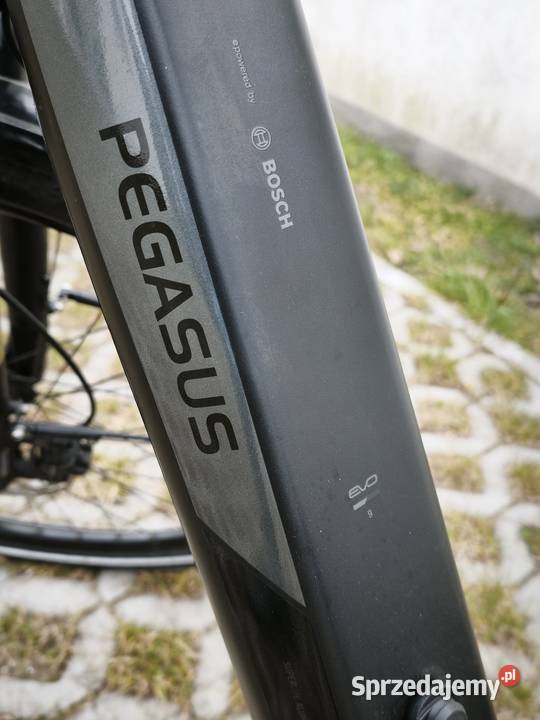 Elektryczny rower Pegasus Solero 2024 Chojnice sprzedam