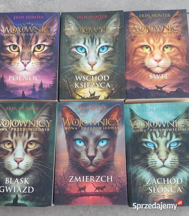Fantasy Erin Hunter Świetne książki na jesienne