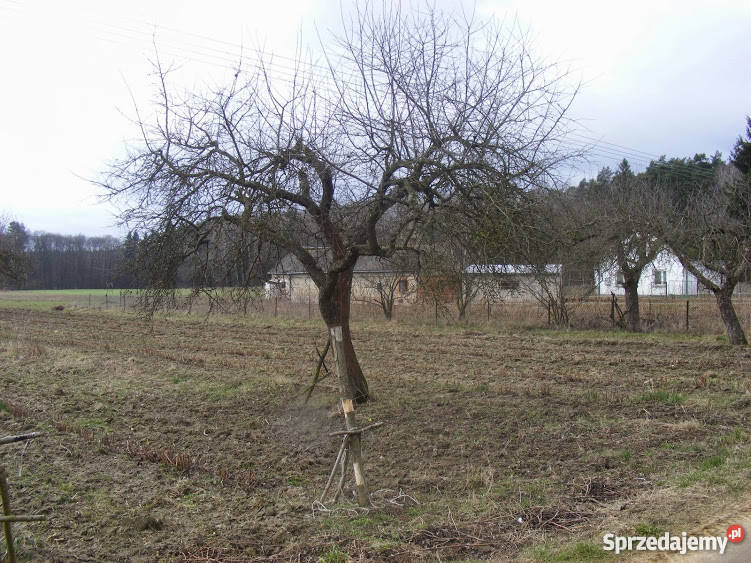 Działka siedliskowa Strzembowo 35 ha 95m Strzembowo sprzedam