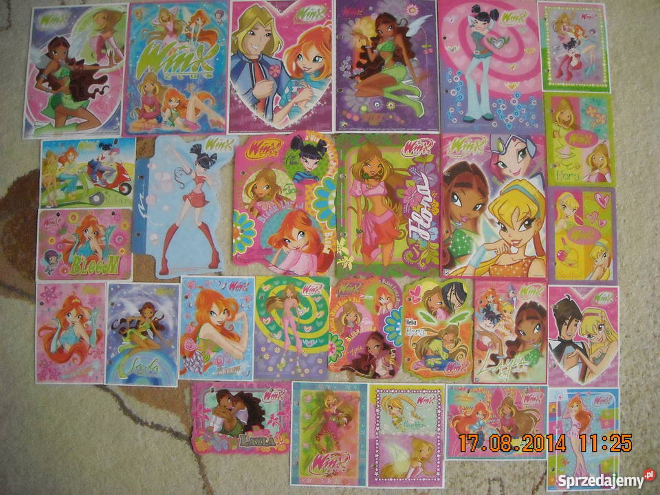 Karteczki 231 3segregatory podkarpackie Jasło