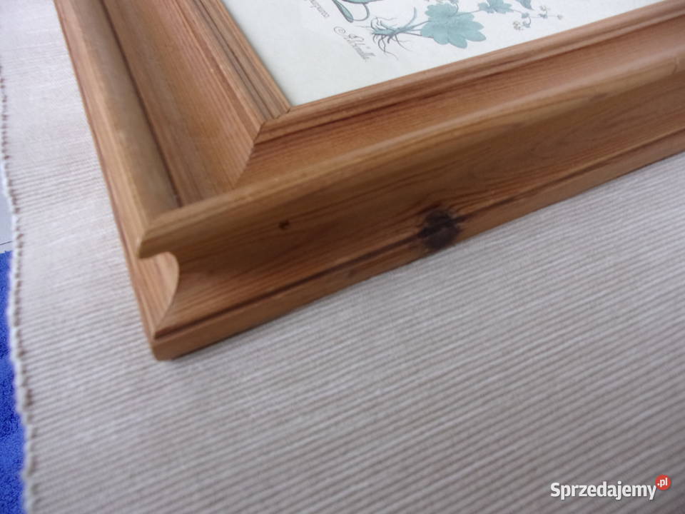 Rycina z kwiatami w drewnianej ramie szybą Pozostałe Warszawa