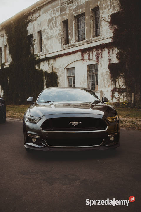 Wynajem Wypożyczalnia Samochodów Ford Mustang GT Wynajem pojazdów Warszawa
