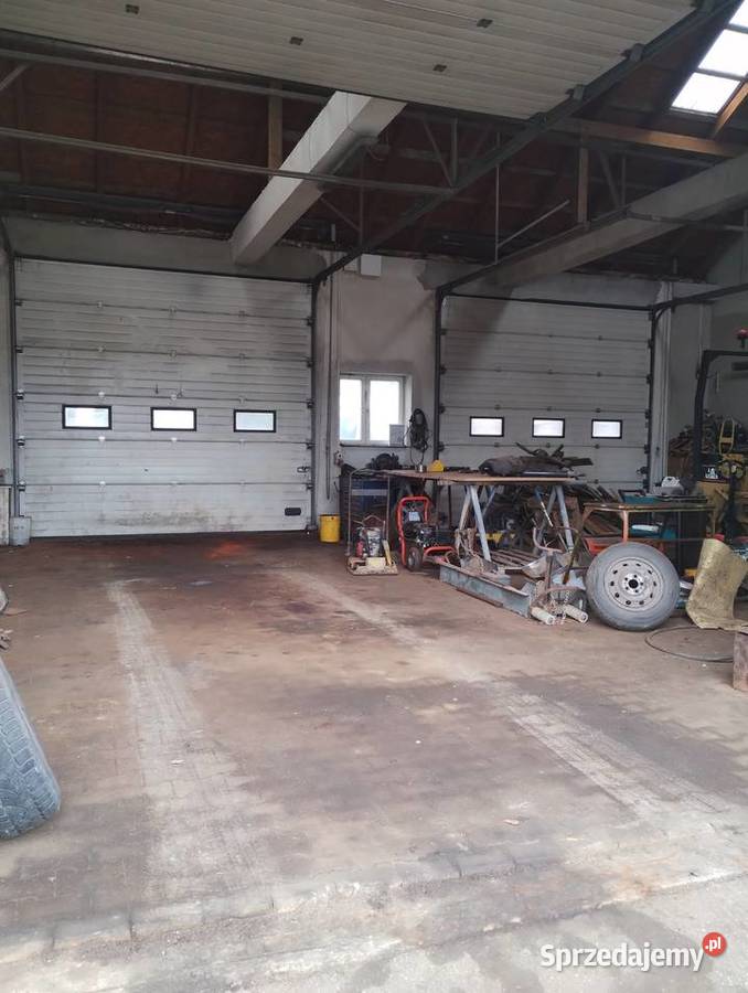 Wynajmę halęwarsztatitp