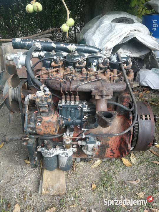 silnik zetor 6cyl 3cyl 4cyl 2cyl stan idealny Stoszowice sprzedam