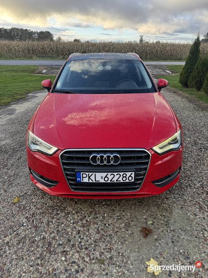Audi A3 Babiak
