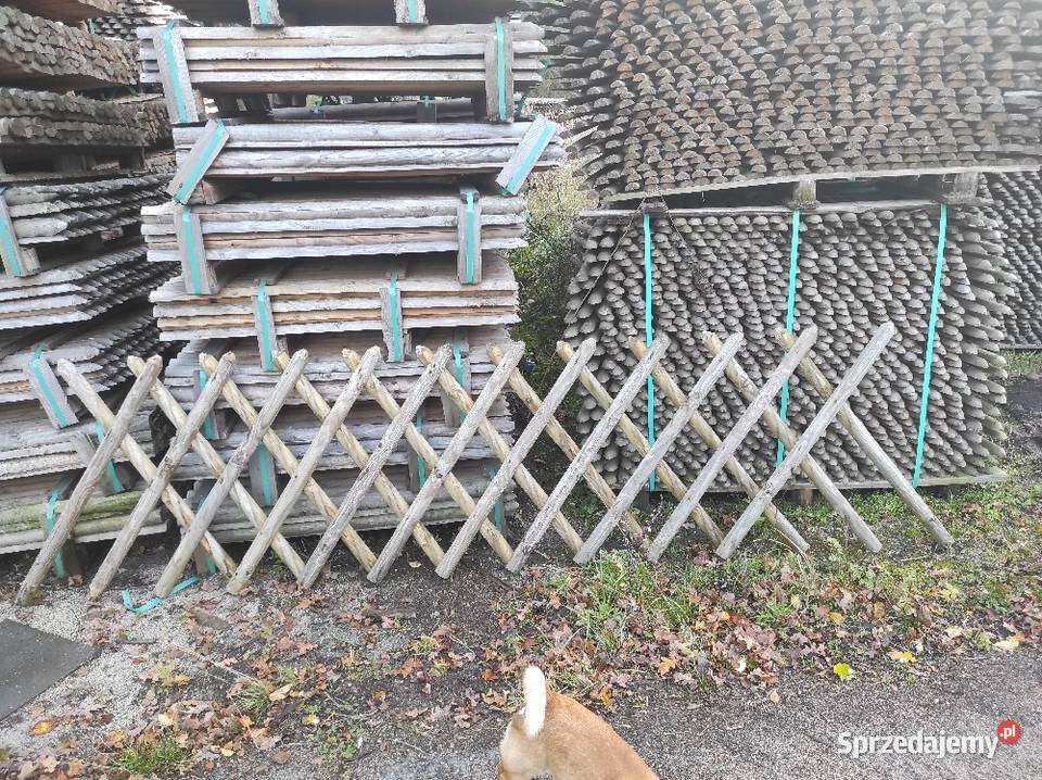 Sprzedam Paliki do drzewek i ogrodzeń Jabłonów