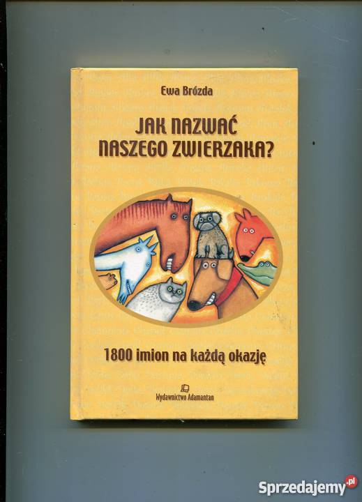 nazwać naszego zwierzaka Szczecin