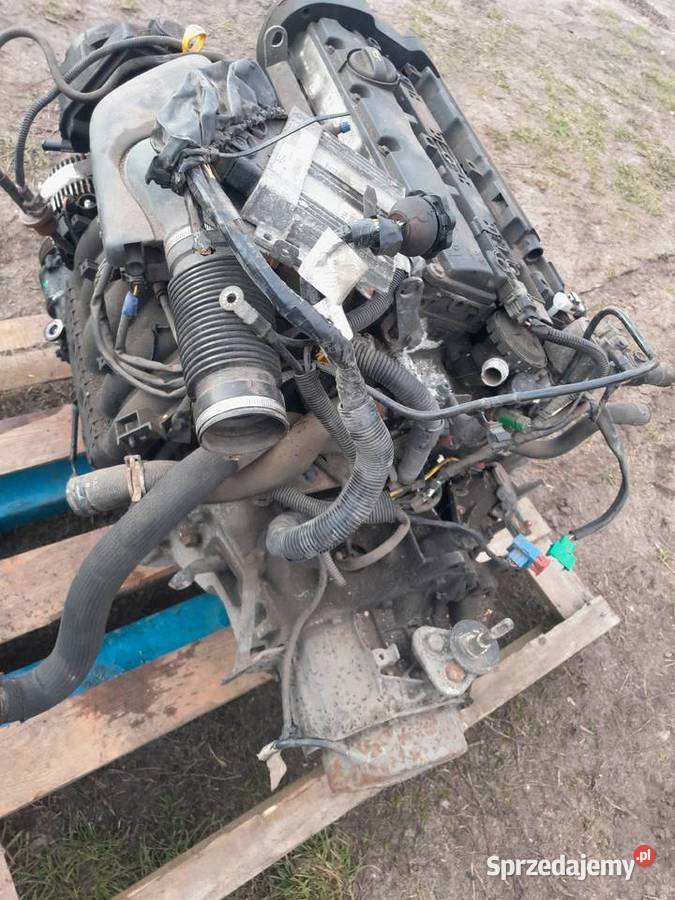 Xsara picasso 18 silnik osobowe opolskie Domaszowice sprzedam