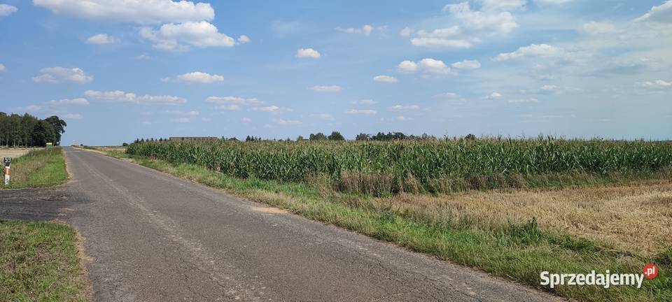 Działka rolna z prawem do zabudowy 19917HA łódzkie Kołacinek