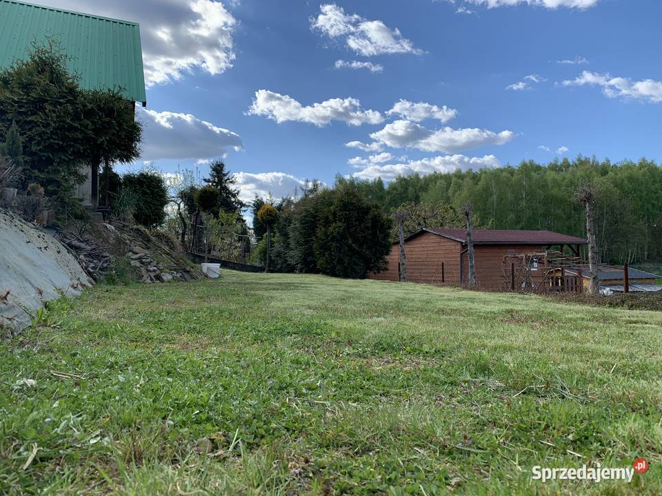 Sprzedam działkę ROD Irys 3000m2 Jastrzębie-Zdrój
