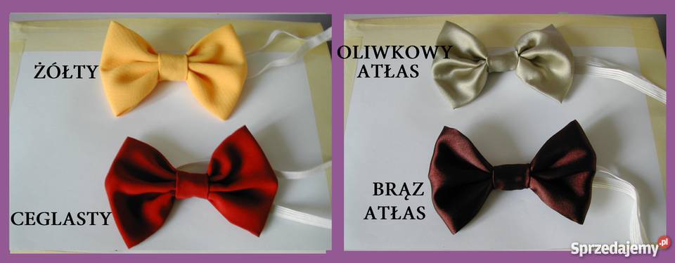 ELEGANCKA MUCHA MĘSKA MUSZKAKOLORY MUSZKI Koło