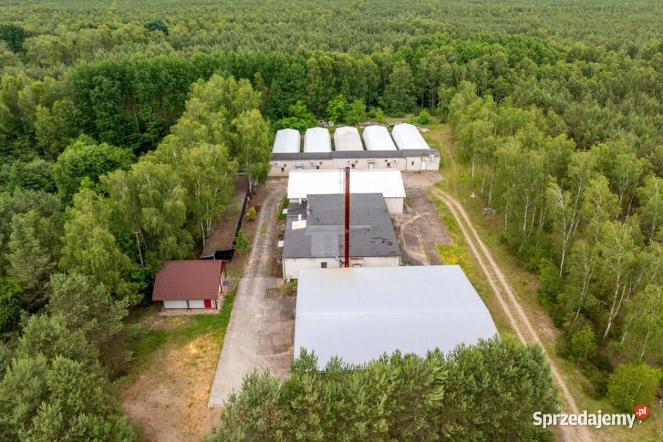 Miały budynki potencjał MPZP usługi i produkcja sprzedam