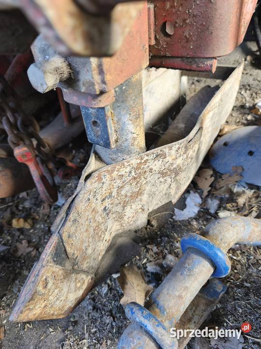 Sadzarka do ziemniaków czeska Wierzbie