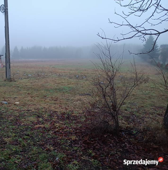 Działka siedliskowa 30 ar Rozkopaczew między 1000m Lubartów