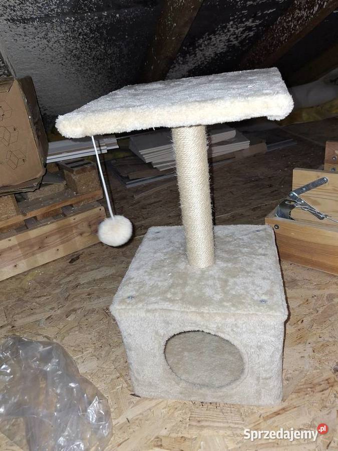 Drapaki kuweta kota Wieruszów