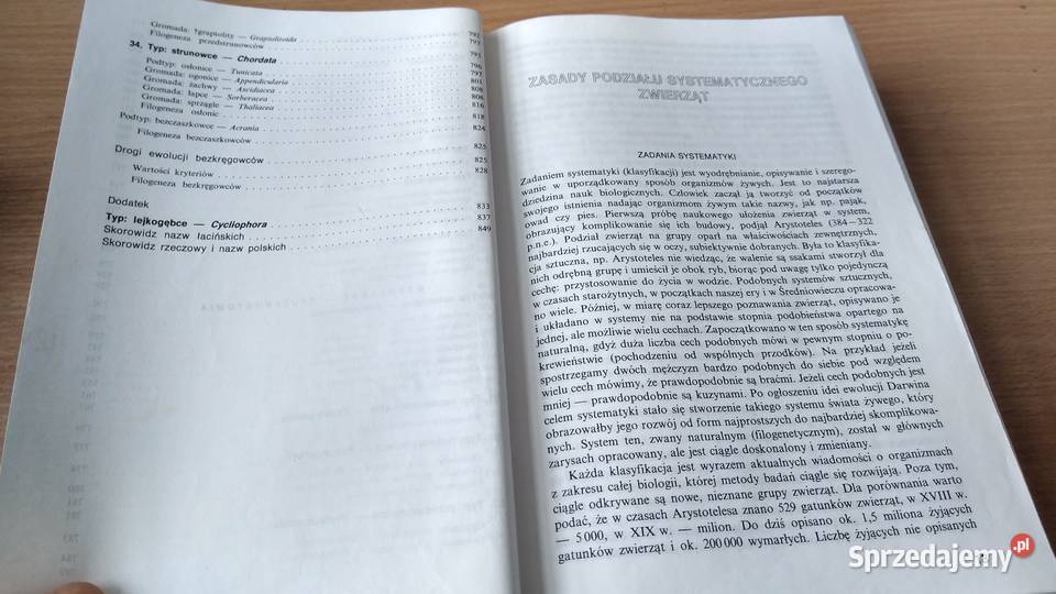 Bezkręgowce podstawy morfologii funkcjonalnej Gdańsk sprzedam