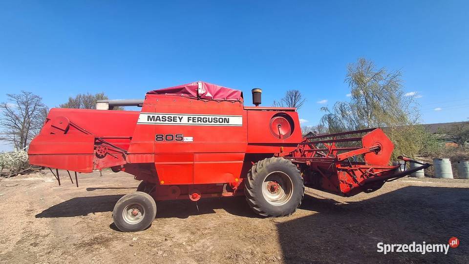 Kombajn Massey Ferguson MF 805 Dąbie