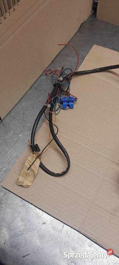 Odstraszacz na kuny I szczury myszy Dobiegniew