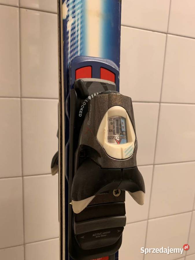 Dynastar Omeglass dł 155 odbiór osobisty Łódź