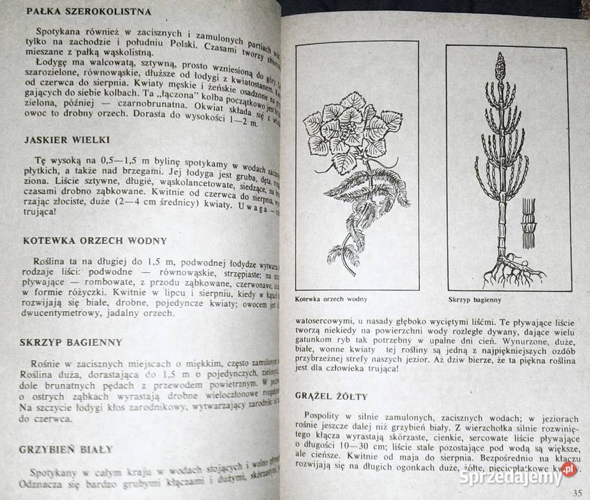 Spinning Andrzej Skarżyński miękka Chełm