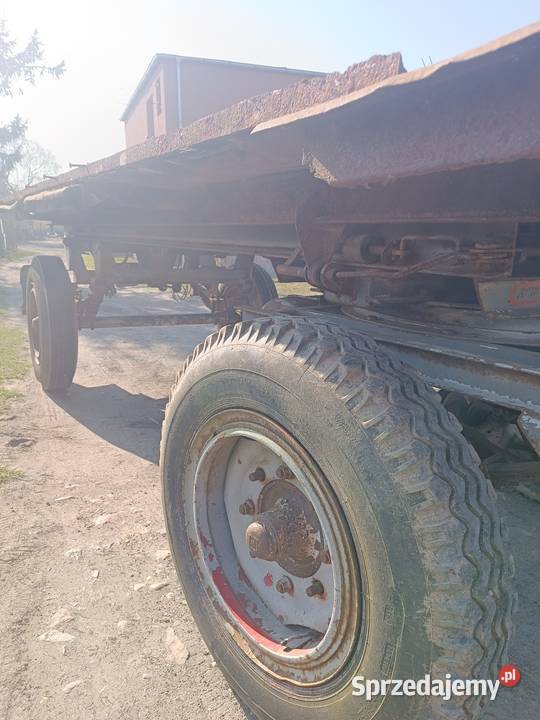 Przyczepa thk5 Piła